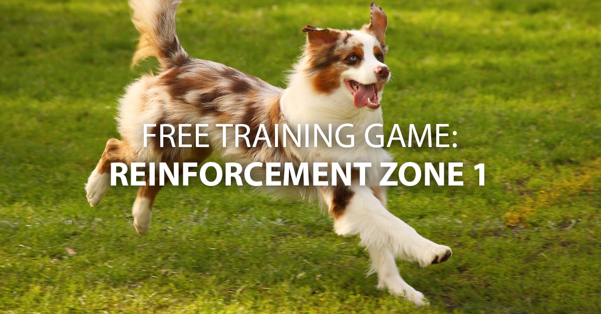 Send My Dog Away For Training Send My Dog Away For Training