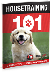 free-housetraining-101-ebook