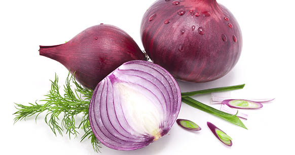 Is onion bad for dogs?