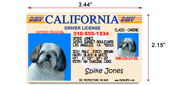 pet_drivers_license_id_large