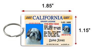 pet_drivers_license_id_small